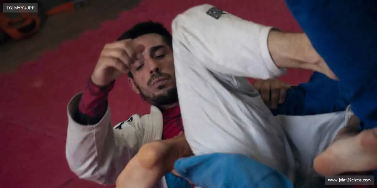 28圈网页版——跳跃吧,让世界看见你的高度!